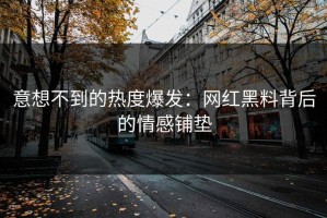 意想不到的热度爆发：网红黑料背后的情感铺垫