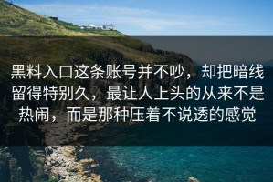 黑料入口这条账号并不吵，却把暗线留得特别久，最让人上头的从来不是热闹，而是那种压着不说透的感觉