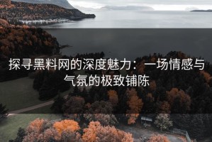 探寻黑料网的深度魅力：一场情感与气氛的极致铺陈
