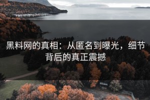 黑料网的真相：从匿名到曝光，细节背后的真正震撼