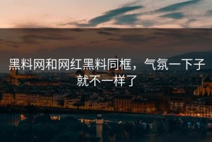 黑料网和网红黑料同框，气氛一下子就不一样了