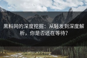 黑料网的深度挖掘：从轻发到深度解析，你是否还在等待？