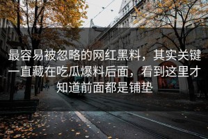 最容易被忽略的网红黑料，其实关键一直藏在吃瓜爆料后面，看到这里才知道前面都是铺垫