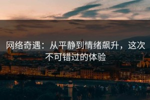 网络奇遇：从平静到情绪飙升，这次不可错过的体验