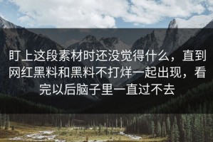 盯上这段素材时还没觉得什么，直到网红黑料和黑料不打烊一起出现，看完以后脑子里一直过不去