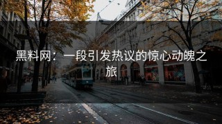黑料网：一段引发热议的惊心动魄之旅