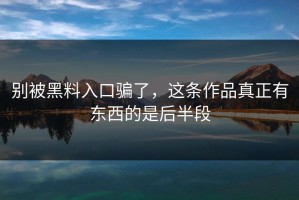 别被黑料入口骗了，这条作品真正有东西的是后半段