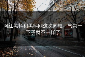 网红黑料和黑料网这次同框，气氛一下子就不一样了