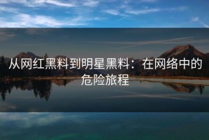 从网红黑料到明星黑料：在网络中的危险旅程