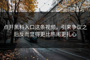 点开黑料入口这条视频，引来争议之后反而显得更比热闹更扎心