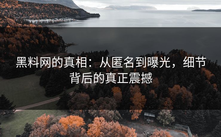 黑料网的真相：从匿名到曝光，细节背后的真正震撼