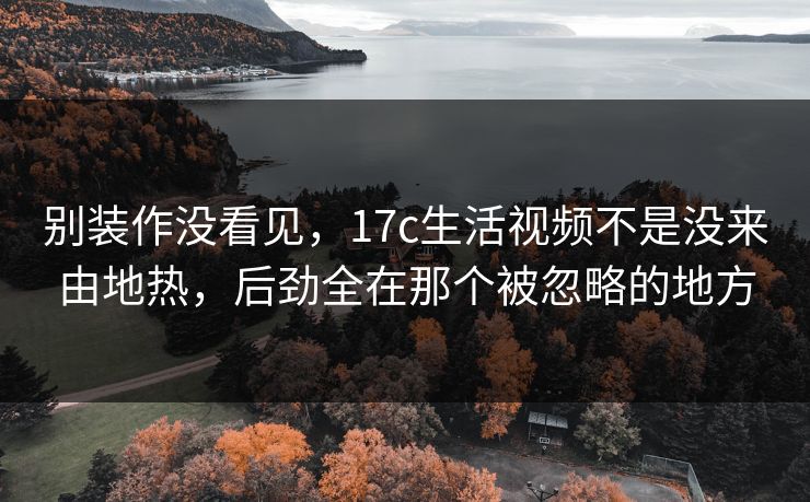 别装作没看见，17c生活视频不是没来由地热，后劲全在那个被忽略的地方