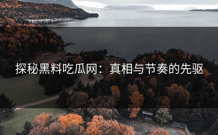 探秘黑料吃瓜网：真相与节奏的先驱