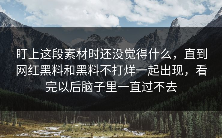 盯上这段素材时还没觉得什么，直到网红黑料和黑料不打烊一起出现，看完以后脑子里一直过不去