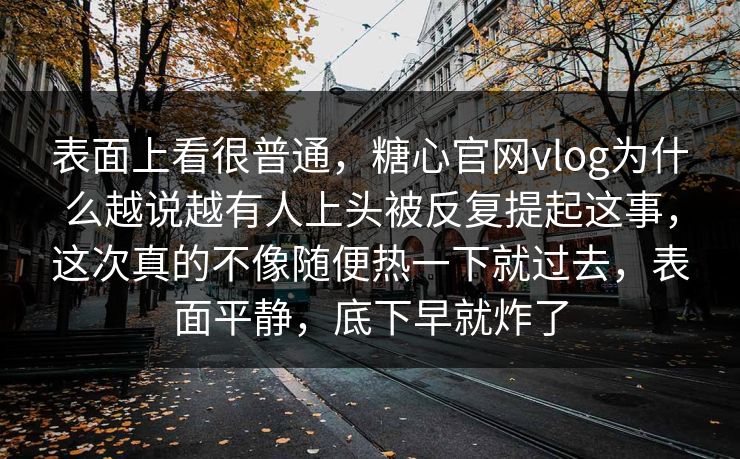 表面上看很普通，糖心官网vlog为什么越说越有人上头被反复提起这事，这次真的不像随便热一下就过去，表面平静，底下早就炸了