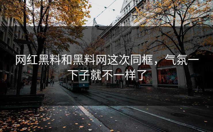 网红黑料和黑料网这次同框，气氛一下子就不一样了