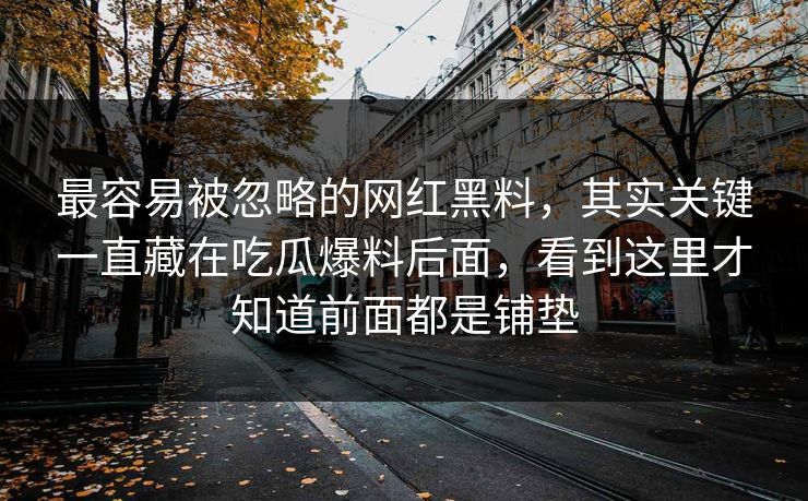 最容易被忽略的网红黑料，其实关键一直藏在吃瓜爆料后面，看到这里才知道前面都是铺垫