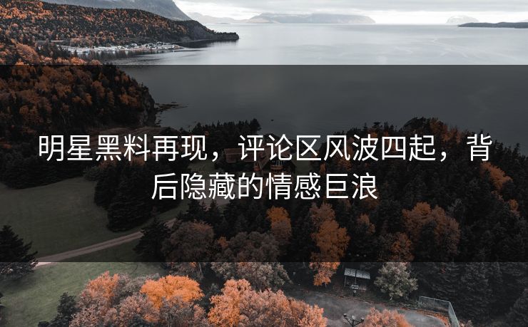 明星黑料再现,评论区风波四起,背后隐藏的情感巨浪 明星黑料再现,评论区风波四起,背后隐藏的情感巨浪