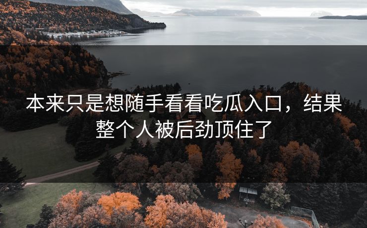 本来只是想随手看看吃瓜入口，结果整个人被后劲顶住了